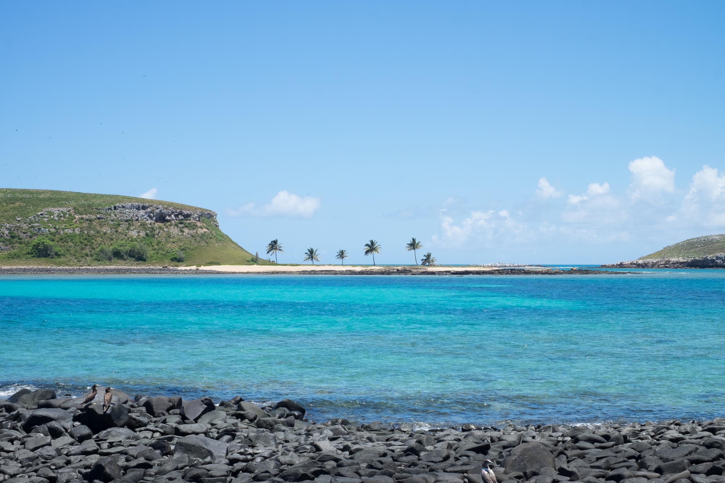 abrolhos archipelago.webp